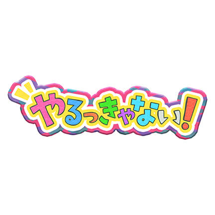 日本テレビ やるっきゃない!